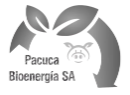 Pacuca Bioenergía